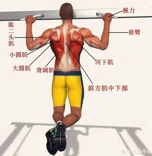 米乐m6：上海室内健身器材有哪些