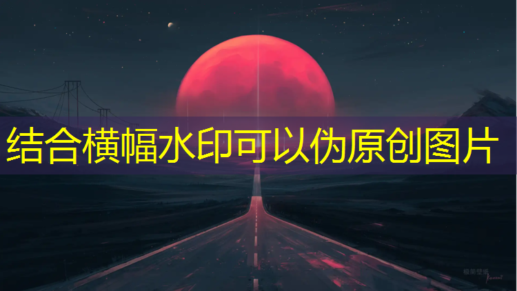 专业网球网行情