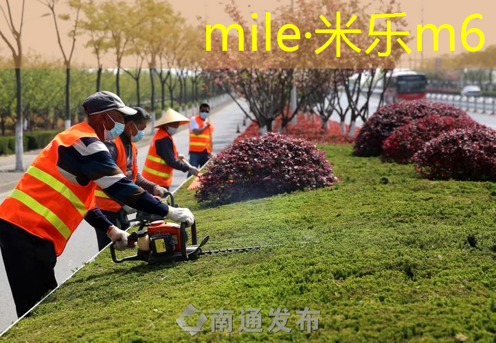 适合暴力平击的网球拍
