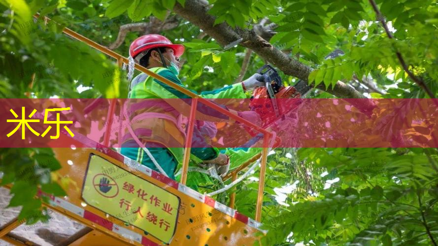 米乐m6官网登录入口：碳纤维网球拍里面什么颜色