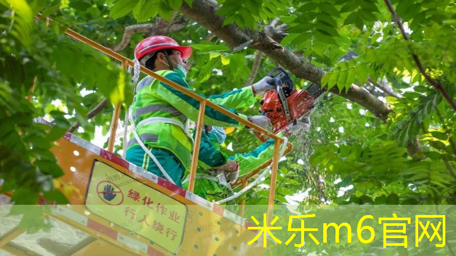 mile米乐m6官网：网球拍穿线多少磅好打