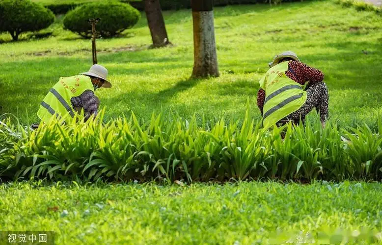米乐m6官网登录入口：震动感小的网球拍有哪些