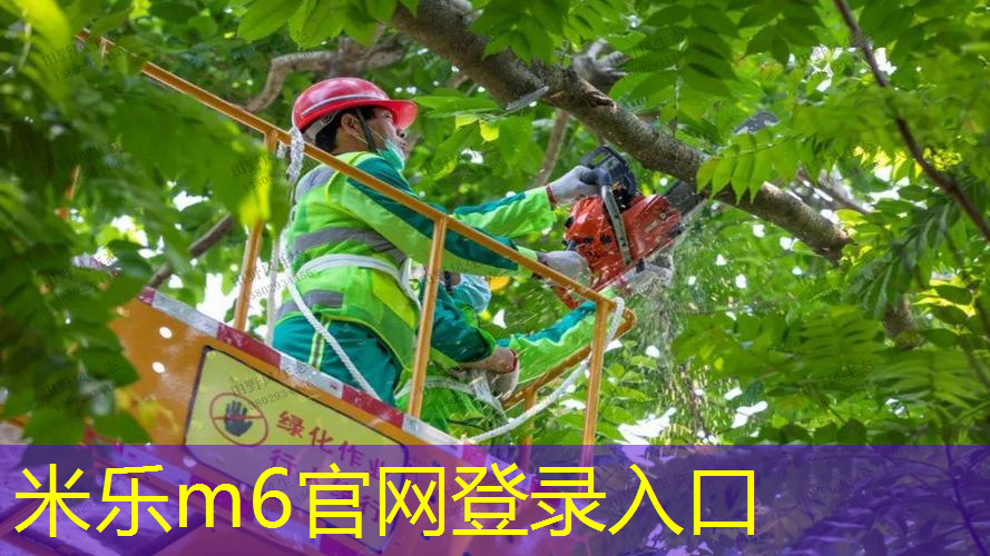 mile米乐m6官网：网球拍方形拍圆形好吗贴吧