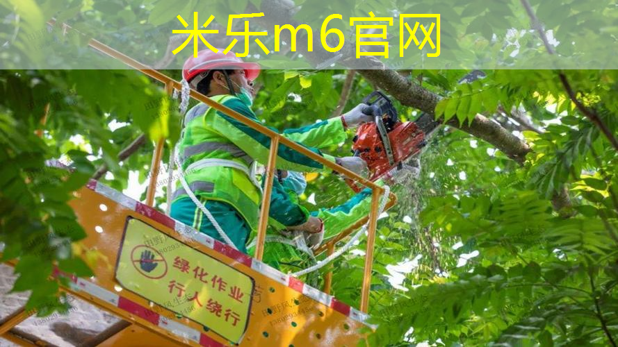 mile·米乐m6：全金属网球拍吉他谱