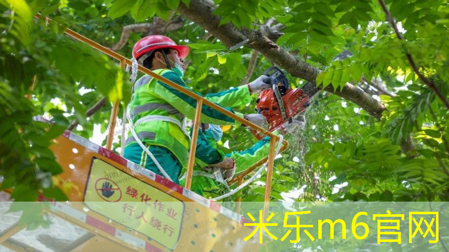 米乐m6官网：网球拍带不带手胶的