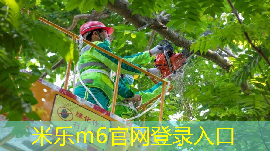 米乐：碳纤维网球拍的表面处理