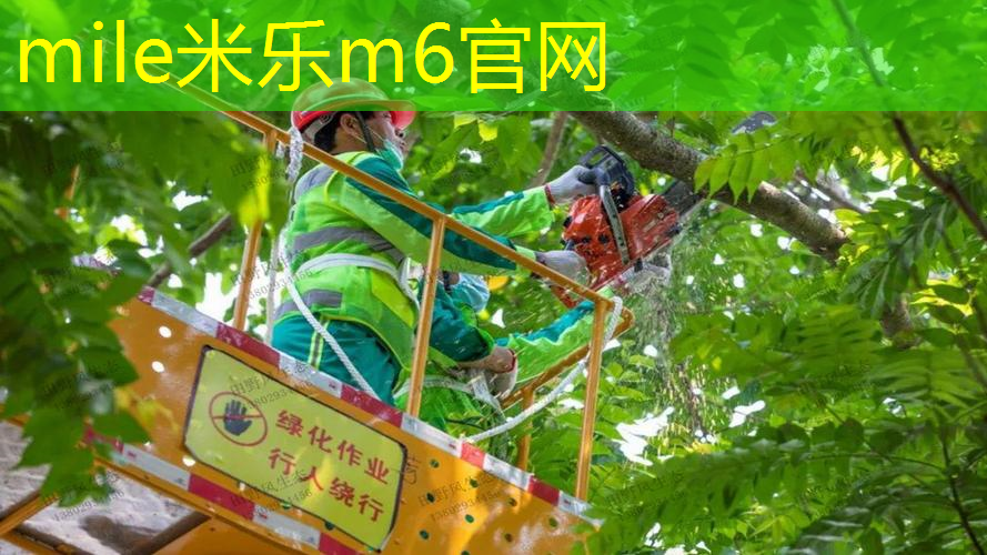 mile·米乐m6：网球拍私人物件是什么东西