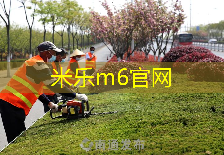 mile米乐m6官网：体肓篮球器材