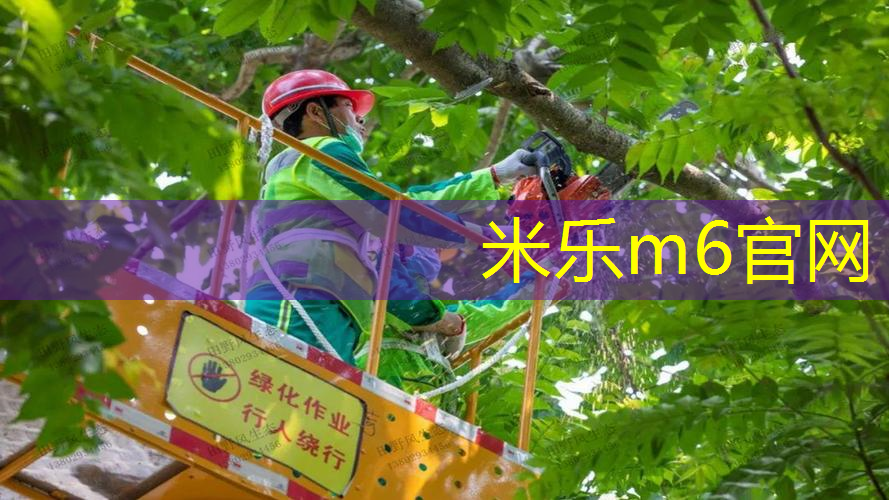 米乐m6官网：乒乓球台内球如何扣杀
