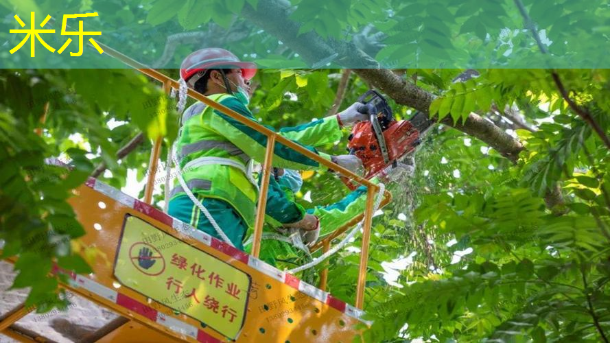 网球拍绑带哪个好看点呢