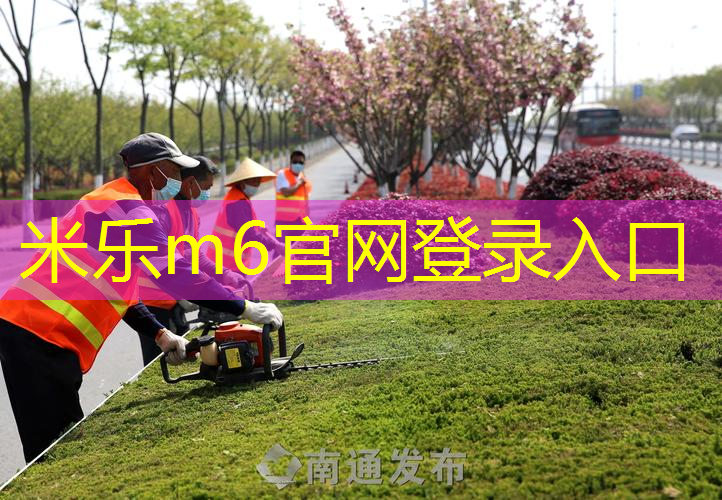 适合暴力平击的网球拍