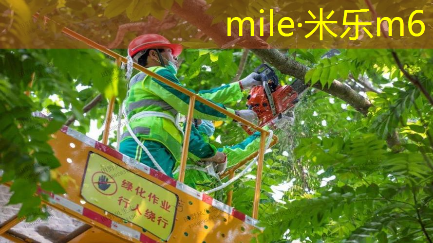 碳纤维网球拍里面什么颜色