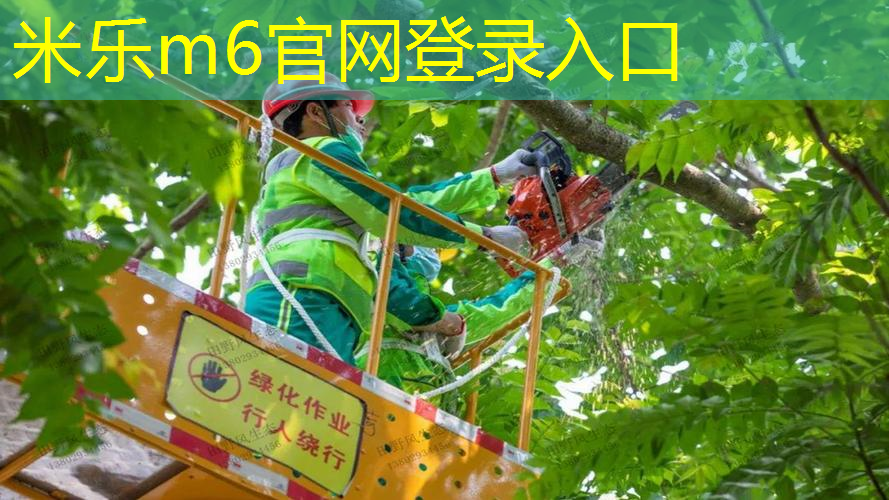 网球拍穿线多少磅好打
