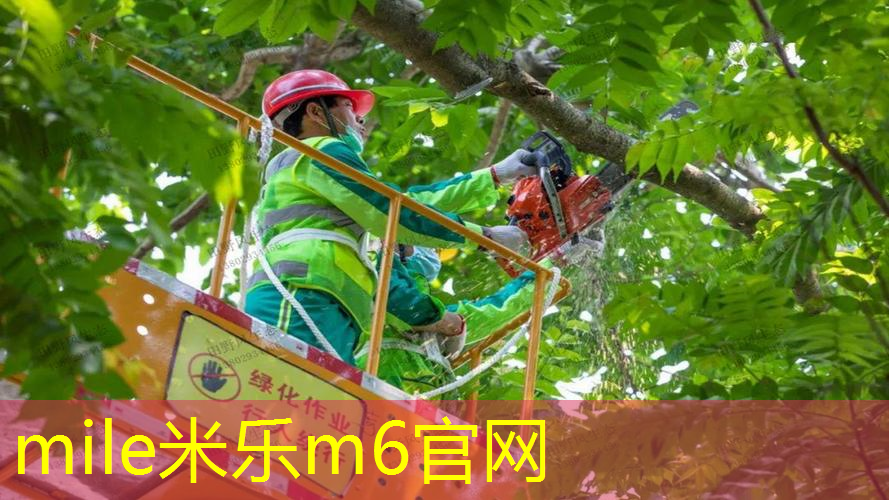 93拍面网球拍拉多少磅