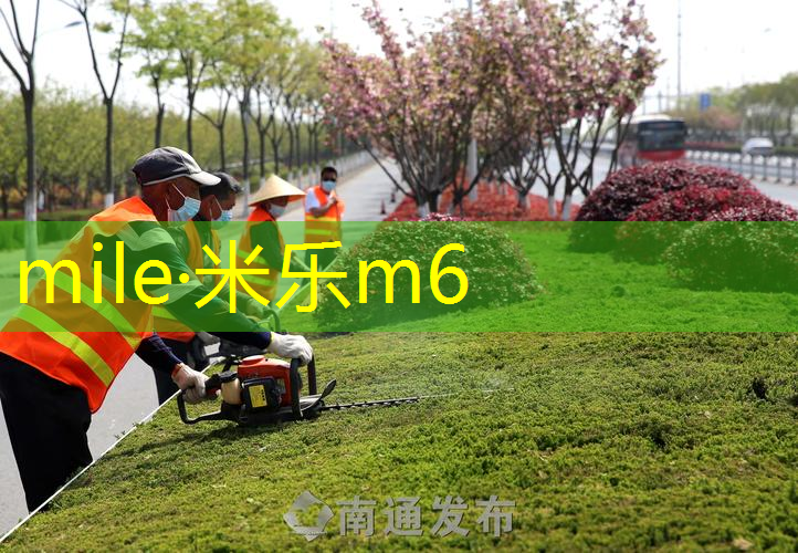 莞城少年宫网球拍