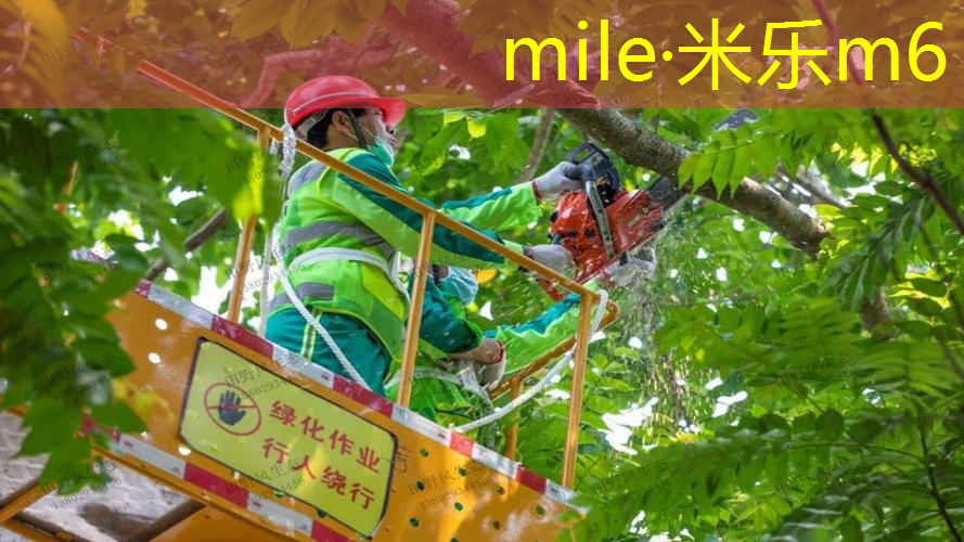 网球拍带不带手胶的