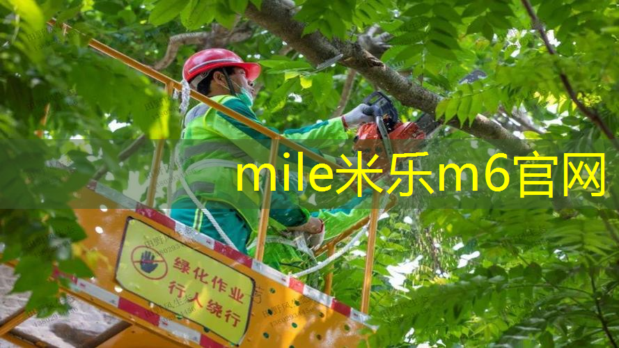 碳纤维网球拍的表面处理