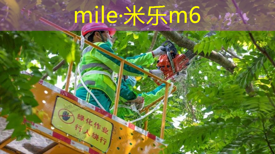 网球拍私人物件是什么东西