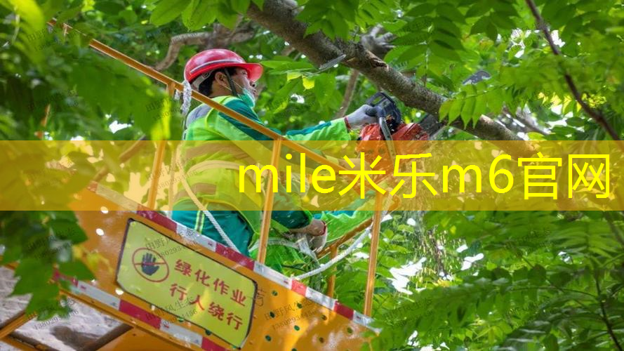 田径小步跑训练器材