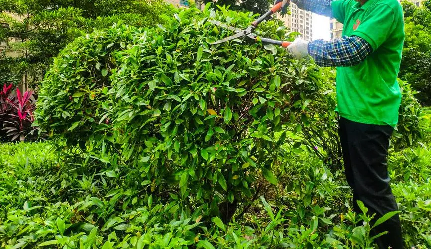 乒乓球台室外的好不好