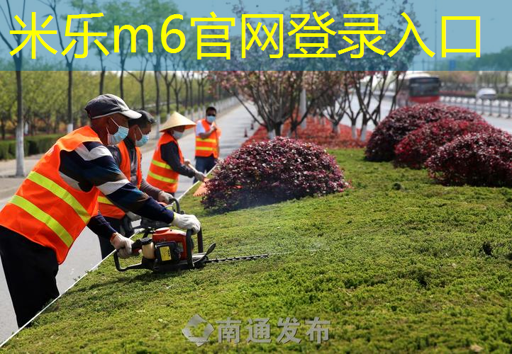 乒乓球台的保险措施- 保护你的家庭和乒乓球台的安全！