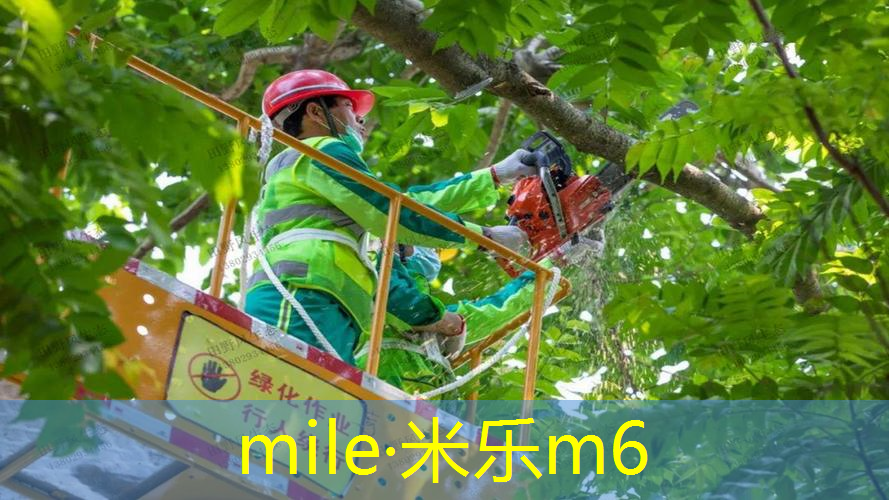 必知知识：为什么正确的拌合对于塑胶跑道材料至关重要？